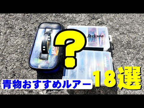 【武庫川一文字】ショアジギング青物におすすめルアー18選！