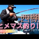 西湖ヒメマス釣り!&ちょっことワカサギ釣り。