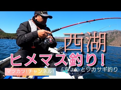 西湖ヒメマス釣り!&ちょっことワカサギ釣り。