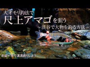 【渓流釣り】大オモリ釣法で尺上アマゴを狙う［ドキュメンタリー］