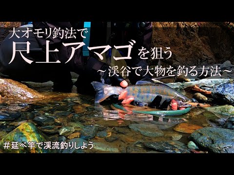 【渓流釣り】大オモリ釣法で尺上アマゴを狙う［ドキュメンタリー］