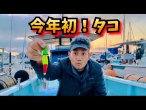 【タコ釣り】今年もタコ！