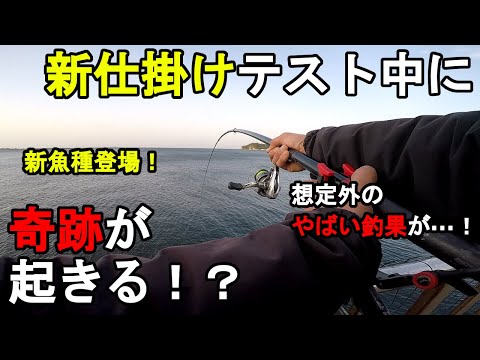 【神奈川県某所】新仕掛けテスト中に奇跡が起きる！？春の4月中旬、関東地方の三浦半島の東京湾側に面した釣り場で、とあるターゲットを狙った自作仕掛けのテスト釣行を数日間していたら…！【2023年4月中旬】