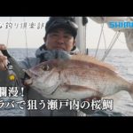 【おとな釣り倶楽部】鯛ラバシーズン到来！春の瀬戸内、美しき桜鯛と出会う