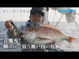【おとな釣り倶楽部】鯛ラバシーズン到来！春の瀬戸内、美しき桜鯛と出会う