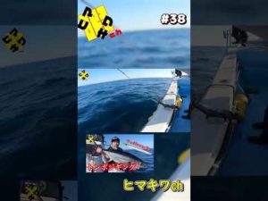 #トンジギ #三重ジギング #伊勢志摩ジギング #マグロジギング   #釣り #釣り初心者