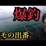 浜名湖で釣りしたら地獄の爆釣劇🔥