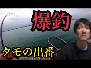 浜名湖で釣りしたら地獄の爆釣劇🔥