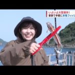 【いよいよ大型連休！】家族で手軽に本格フィッシング！～釣り筏 Rock Fish～ Jチャン＋特集(4月26日(水)放送)