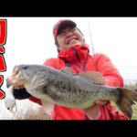 お待たせしました！赤いおじさんの初バスだぁぁ！