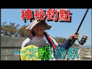 神秘釣點，當地推薦私密垂釣點 報給你知 Fishing  台湾の釣り 낚시 câucá 爆釣 パチスロ