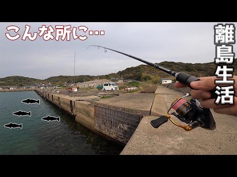 割と簡単にこんな場所で釣れるので今晩のおかずは串カツです。