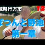 【茨城バス釣り】ぽつんと野池第一章！行方市の池でブラックバス釣れるか調査！【ブラックバス】
