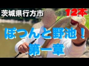 【茨城バス釣り】ぽつんと野池第一章！行方市の池でブラックバス釣れるか調査！【ブラックバス】