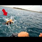 美味しい魚がボコボコに釣れた【ワールドシャウラリミテッド開封】