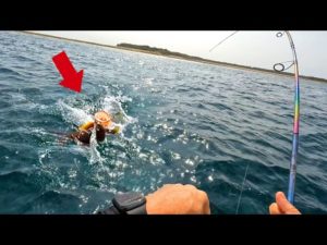 美味しい魚がボコボコに釣れた【ワールドシャウラリミテッド開封】