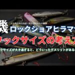 【磯】ロックショアヒラマサでのフックサイズの考え方・釣り部屋からの雑談・四方山話９３