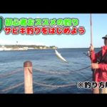 【初心者向け】GWはサビキ釣りに行ってみよう！小名浜港でサビキ釣り絶好調！