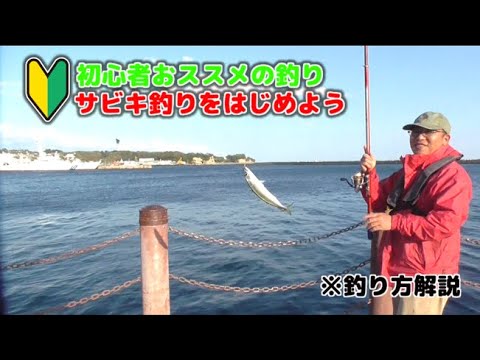 【初心者向け】GWはサビキ釣りに行ってみよう!小名浜港でサビキ釣り絶好調!