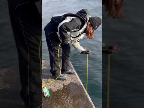 磯釣りに必須なのはデッキブラシ #釣りガール #釣り #釣り好きと繋がりたい