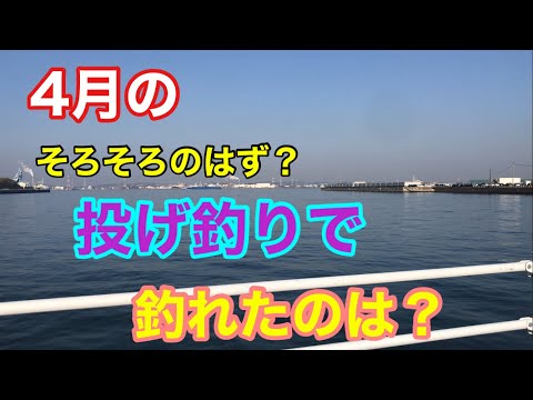 4月のそろそろ釣れるはず？の投げ釣りで釣れたのは？衣浦湾