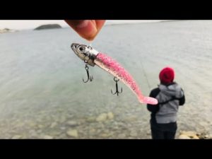 【夕まずめの海岸】大物釣りたくてダイソーVJ100回投げてみた結果…