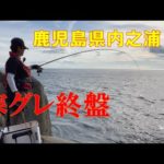 【磯釣り】鹿児島県内之浦今シーズングレ釣り終盤！竿を曲げた魚は〇〇だった！