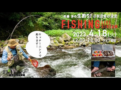 【LIVE】フライフィッシング・佐藤渉の生釣り! 「ヤッチーニンフ編」 @秋田県の渓流