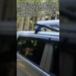 林道ツーリング中に河原で釣り人が？　#Shorts