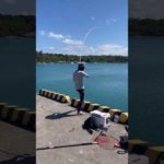 #沖縄釣り #沖縄フカセ釣り #釣り #うちなースタイル