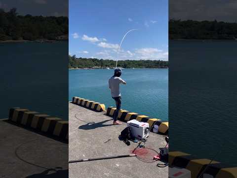 #沖縄釣り #沖縄フカセ釣り #釣り #うちなースタイル