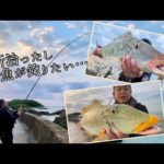 骨折が治ったので魚が釣りたくて海に来たら、まさかの良型が…ww