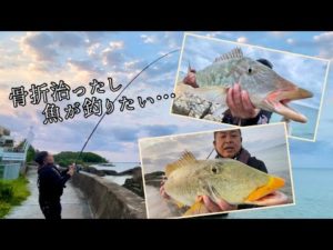 骨折が治ったので魚が釣りたくて海に来たら、まさかの良型が…ww