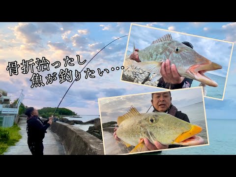 骨折が治ったので魚が釣りたくて海に来たら、まさかの良型が…ww