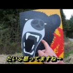 【会津渓流】渓流釣りをしながら山菜採り‼贅沢な1日でした。