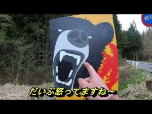 【会津渓流】渓流釣りをしながら山菜採り‼贅沢な1日でした。