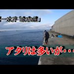 外道ばっかりかと思ったら・・・【沖縄釣り】