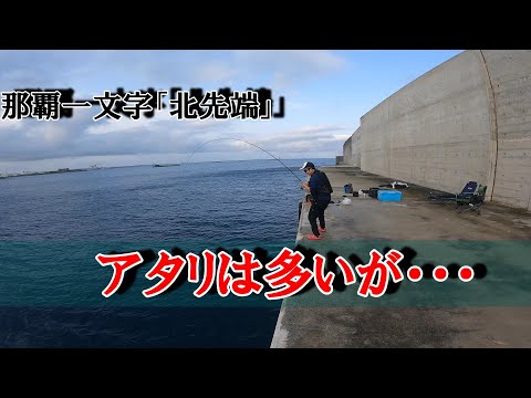 外道ばっかりかと思ったら・・・【沖縄釣り】