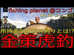 fishing planet #179『金策タイガーフィッシュ釣り!!所持金800万の拘りの秘密を初公開 LV.75 コンゴ川@コンゴ』【生放送 第538回】#フィッシングプラネット#攻略#金策#雑談