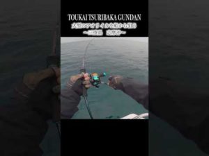 大型のアオリイカを船から狙う　#shorts #釣り #fishing #海 #アオリイカ #エギング #ティップラン  #daiwa #fp志摩