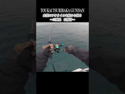 大型のアオリイカを船から狙う　#shorts #釣り #fishing #海 #アオリイカ #エギング #ティップラン  #daiwa #fp志摩