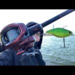 琵琶湖バス釣りライブ。カーボンロッドにPEラインで感度と投げやすさを確かめたい