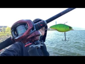 琵琶湖バス釣りライブ。カーボンロッドにPEラインで感度と投げやすさを確かめたい