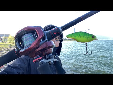 琵琶湖バス釣りライブ。カーボンロッドにPEラインで感度と投げやすさを確かめたい