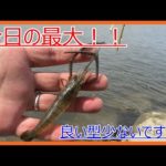 【テナガエビ釣り】凝りもせずテナガエビ釣り・・・今年は成長遅いかも！！