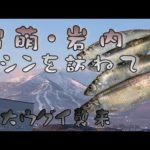 留萌・岩内　ニシン狙い釣行