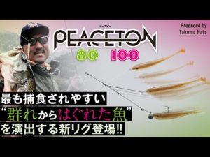 【バス釣り】最も捕食されやすい”群れからはぐれた魚”を演出!!PEACETON 80・100 / ピーストン80・100/秦拓馬/ダウザー/四国リザーバー