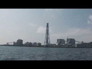 久里浜港黒船釣具店ボートカレイ釣り20230330