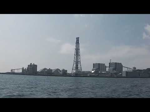 久里浜港黒船釣具店ボートカレイ釣り20230330