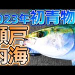 【ショアジギ釣行記♯8】ルアー & アジの泳がせ釣りで春の青物を狙ってみた!!【愛媛県・四国中央市】